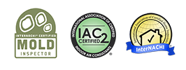 Los Angeles Mold Detection Experts – Schedule Today