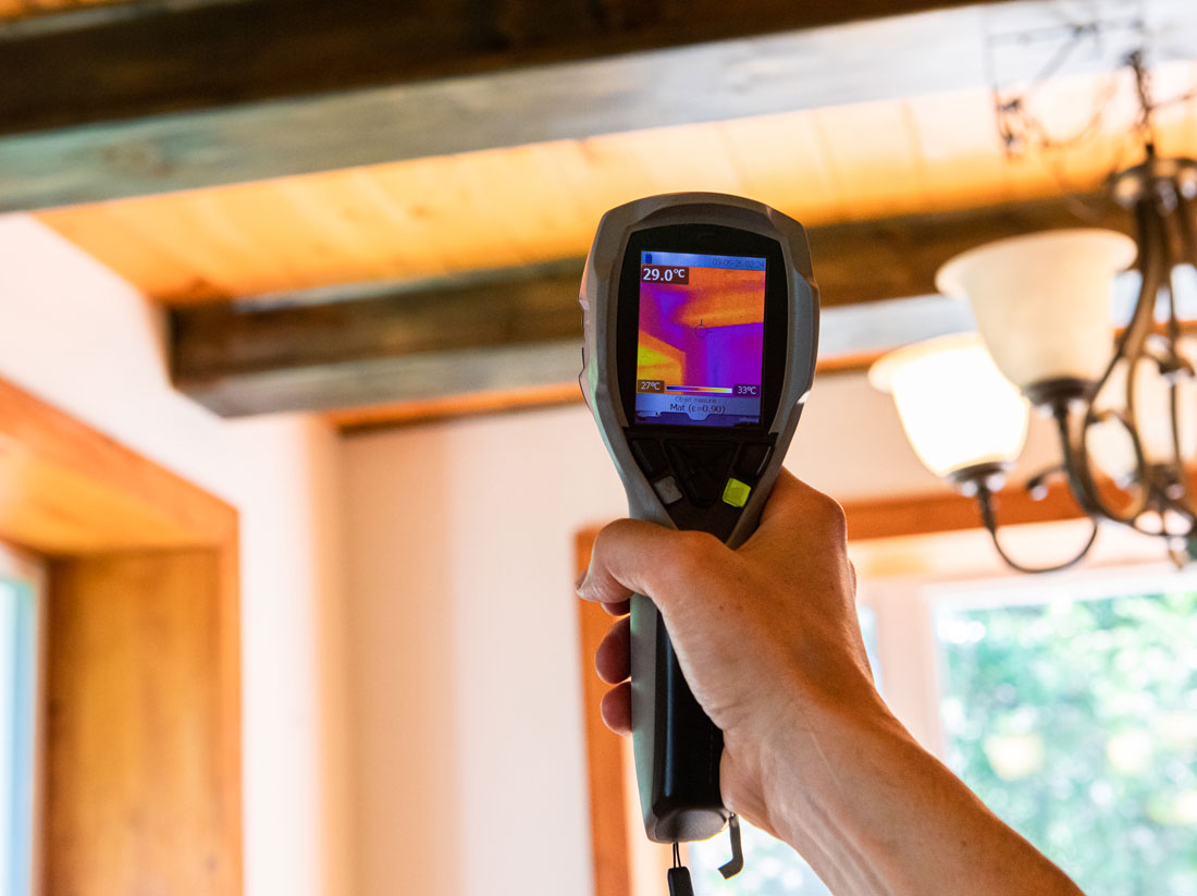 Los Angeles Mold Remediation – Safe, Effective, Trusted