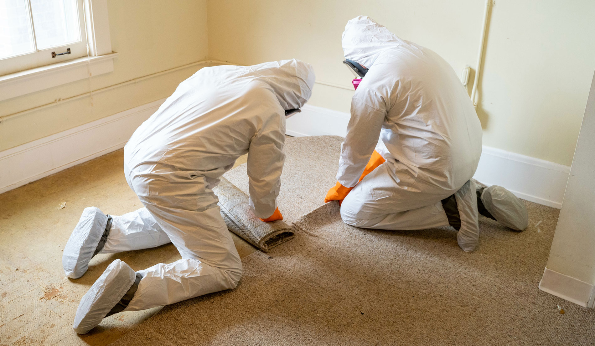 5 Hidden Signs Your Home May Have a Mold Problem (That Most People Miss)
