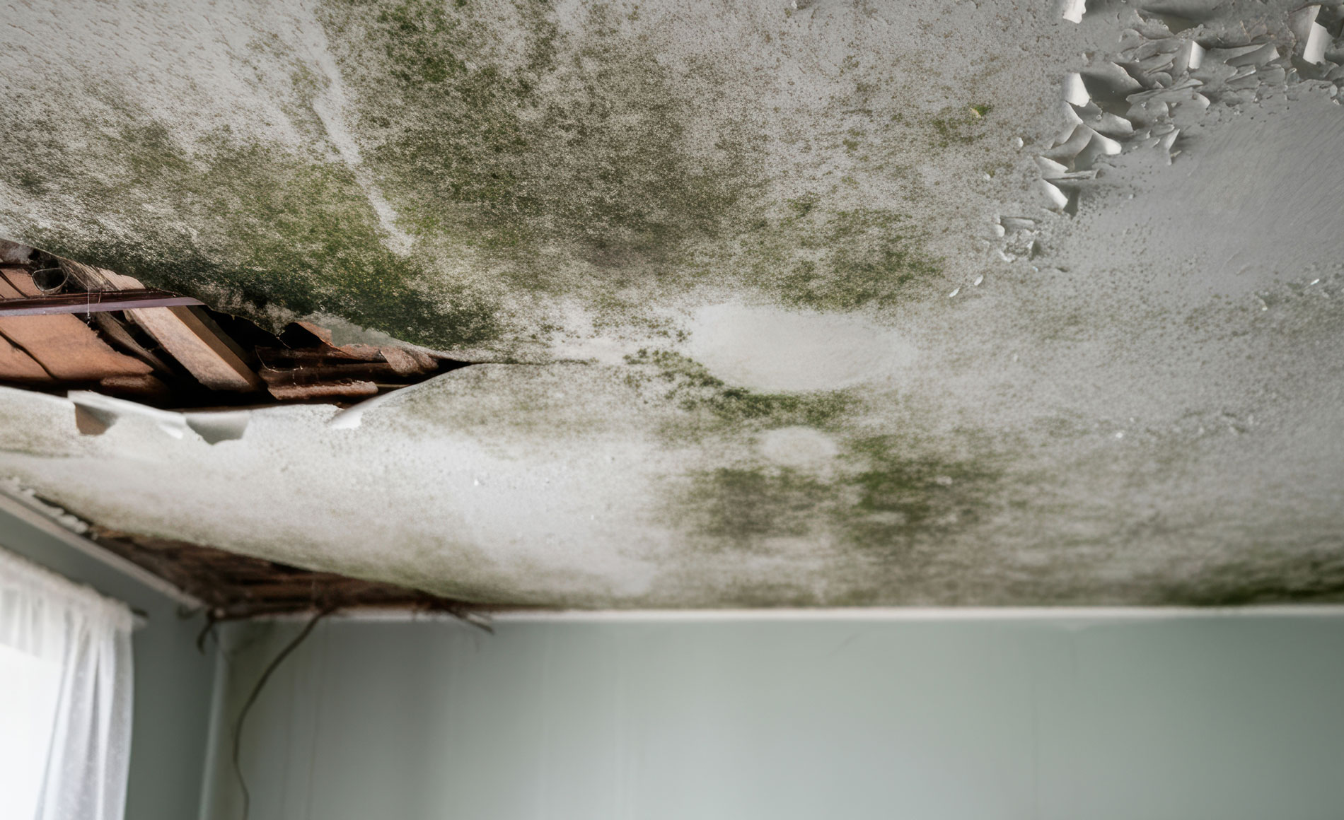 Why You Should Never Ignore Water Stains on Your Walls or Ceiling